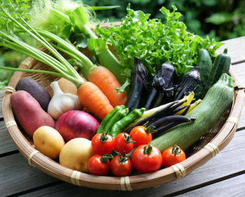 但馬の旬をお届け！採れたて野菜セットS【4〜5種類】(60サイズ)定期便