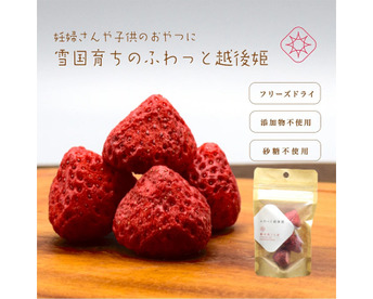 妊婦さん子供のおやつに　フリーズドライいちご　"ふわっと越後姫"4g 10袋　100%無添加無加糖無着色 ドライフルーツ　定植後化学農薬不使用のドライいちごおやつ国産いちご＊ふわっと姫4g※20061