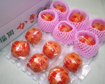 冷蔵柿（富有柿）12個入り 『小玉！』Sサイズ 　福岡県久留米市田主丸町産