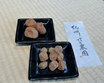 梅農家が作った梅干し　お試し食べ比べセット　小梅と南高梅　白干し　無添加