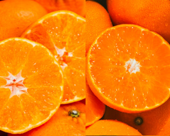 【人気２品種食べ比べ】せとか＋甘平 各1kg 家庭用