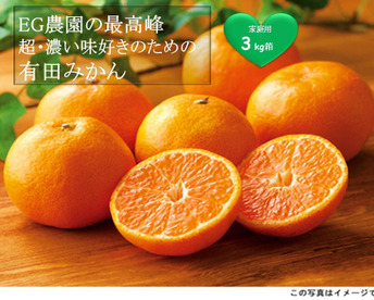 【再販未定】EG農園の最高峰！超濃い味好きのための有田みかん 3キロ箱 和歌山県 有田 みかん 2S~2Lサイズ　家庭用キズあり