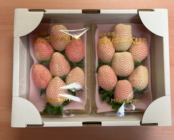 『ミルキーベリー』フレーズのこだわりいちご270×2パック