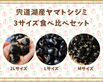 【冬ギフト】【食べ比べセット】宍道湖産ヤマトシジミ 計4.0kg （2Lサイズ0.8kg、Lサイズ1.6kg、Mサイズ1.6kg）