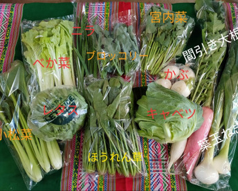 お楽しみ★農園自慢の情熱野菜セット　9袋　発送タイミングおまかせ　フードロス対策　パチャママ農園