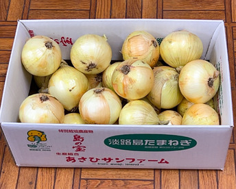 【M玉10kg】 淡路島産 新たまねぎ 兵庫県認証食品 ひょうご安心ブランド レシピ付き！ 南あわじ市 ご家庭用 サラダ 玉ねぎ Mサイズ