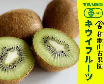 ジューシーな果肉！安心安全の“有機JAS認証栽培”和歌山県古果園キウイフルーツ サイズ混合 【たっぷり 3kg】