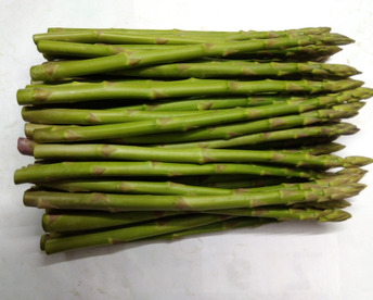 シャキシャキ！さぬきのめざめ秀品Mサイズ春芽1kg