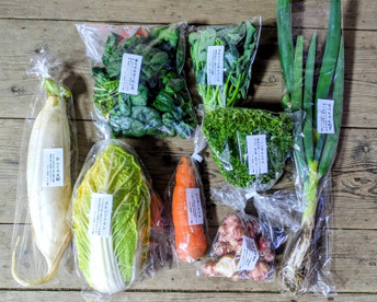 【アワード受賞福袋】旬のVEGE箱「厳選8品目セット」
食べチョクアワード野菜2位受賞の旬のVEGE箱から、特に食べて欲しい8品種を厳選しました。レギュラーサイズだと多すぎて食べきれない方にもぜひ♪