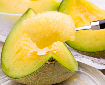 予約販売【令和5年 品質優良賞受賞】果汁たっぷり春メロン 茨城県産 アンデスメロン【特秀】2玉