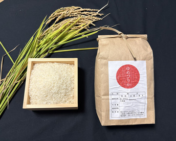 令和７年産 北海道 ゆめぴりか 【精米10kg（５ｋｇ×２）】 わっさむのおこめ