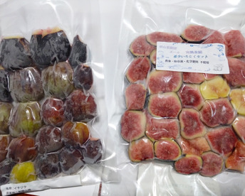 完熟冷凍　希少いちじくお楽しみセット【農薬・除草剤・化学肥料・添加物不使用】