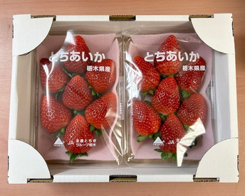 『大粒とちあいか』フレーズのこだわりいちご280×2パック
