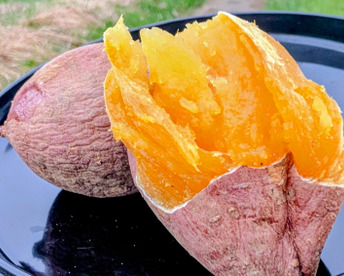 発送中🍠もはやスイーツ！ねっとり甘い安納芋Lサイズ５KG 焼き芋にピッタリ！五島の海水を使って育てました！農薬/化学肥料不使用 サツマイモ/さつまいも