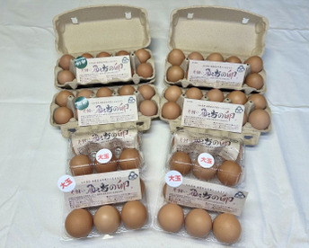 【2025福袋】大きさ色々！平飼い飛鳥の卵の福袋！38個