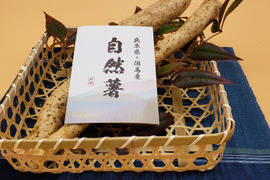 【数量限定】吟風農園の最高級　厳選自然薯（一本物900g）贈答用・ご家庭用