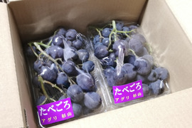 農薬不使用！甘さとコクのぶどう「紫玉」1kg