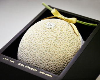 【冬ギフト】マスクメロン厳選品1玉箱入り「熨斗対応可」