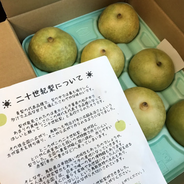 予約販売 鳥取産 一度食べたらやみつき 朝採り20世紀梨 3kg 7 9玉入り 鳥取県産 食べチョク 農家 漁師の産直ネット通販 旬の食材を生産者直送 予約販売 鳥取産 一度食べたらやみつき 朝採り20世紀梨 3kg 7 9玉入り 鳥取県産 食べチョク 農家 漁師の産直ネット通販 旬の食材を生産者直送
