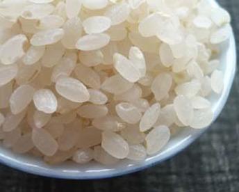 やさしい玄米食におすすめ【分づき米4Kg】【玄米4Kg】スパルタな愛情栽培じんわ~り甘~い新潟コシヒカリ秋山農場Riki-saku【真空チャックパック】合計8キログラム。食べ比べ。