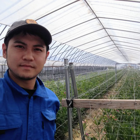 長野県の野菜の生産者 食べチョク