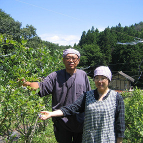 伊草農園