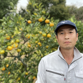 大分柑橘