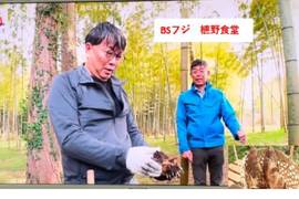 ❤アク抜き不要❤BSフジ植野食堂でご紹介いただきました❤大多喜町特産品（千葉県）たけのこ(２kg)❤肥料も与えておらず柔らかく口に繊維の感覚が残りません　春の味覚！