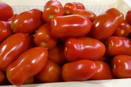 【調理用トマト】旨みが強い！サンマルツァーノリゼルバ（2㎏）