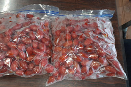 冷凍　ひみこミニトマト(訳あり)　２ｋｇ×２袋