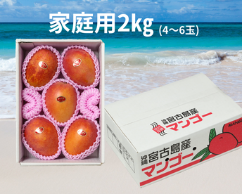 【家庭用】宮古島産完熟マンゴー2㎏(4～6玉)