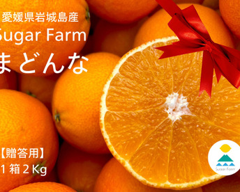 (贈答向け)シュガーファームのハウスまどんな2kg 【冬ギフト】にぴったり！熨斗対応◎