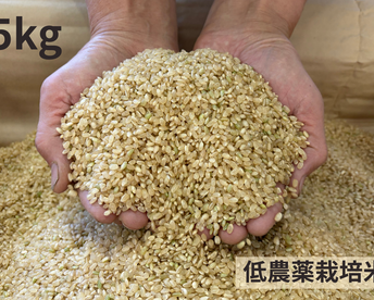 【令和７年産】低農薬栽培米　コシヒカリ　玄米５kg