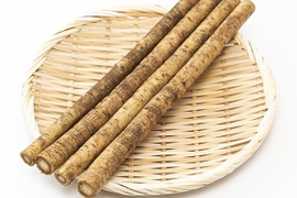 秋田のゴボウ1000g（予約販売）世界遺産白神山地のそば