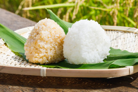 令和4年産　特別栽培米コシヒカリ　玄米15kg×2