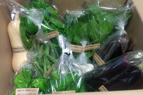 旬の野菜セット(8~10品)