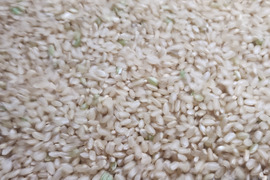 新年一発目！！！！！
ゆめぴりか　令和７年産　道産一等米
精米10kg