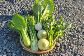【旬の上州野菜　春！】Sサイズ（5~6品目）梱包まで丁寧に
