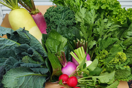 【アワード受賞福袋】旬野菜おまかせＬセット(12品目) 期間限定！！