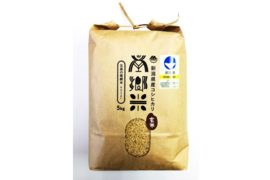 ＊特別栽培米【R5年産】''隠れたお米の名産地''新潟県五泉産コシヒカリ100%「南郷米」玄米10kg
