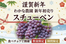 【農家直送】青森県産スチューベン（秀品）2kg