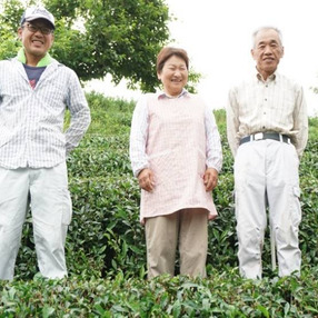 湊製茶