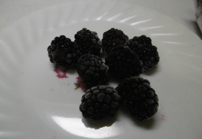 完熟ブラックベリー｜冷凍500g｜ジャム・スイーツに最適：愛知県産の