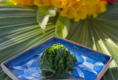 屋久然『生クレソン』【1kg（※写真は500gです）】：鹿児島県産のその他