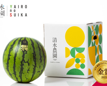 【数量限定,希少】7月下旬発送予定　野菜ソムリエサミット金賞受賞「清水農園の八色産金色羅王」1玉