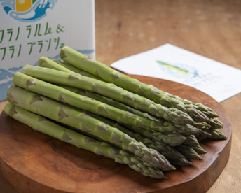 【春芽】【北海道 上富良野産】太さと旨味にこだわりのアスパラガス2Lサイズ800g✨通販サイト年間3000件以上販売👑✨フラノラルム
