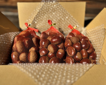 【福袋】【完熟熟成栗】超お得価格！熟成蔵出し特別セット『 Ｌ / 2L / 3L 』1㎏×3袋(計3kg)【限定６０個】