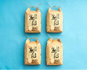 【年末セール‼】【R7新米】南魚沼産コシヒカリ 白米5kg×4 ひらくの里ファーム 慣行栽培