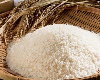 【令和7年新米】静岡県遠州森のコシヒカリ（５ｋｇ）今年も美味しくできました