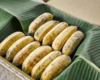 【定期購入】沖縄産ナムワバナナ１kg